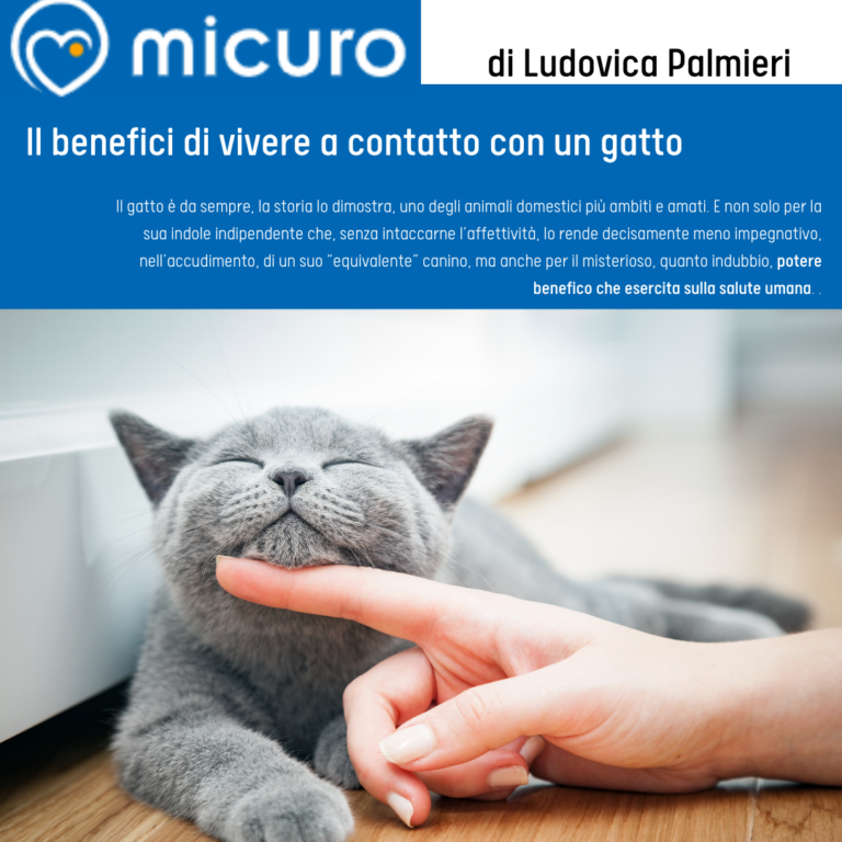 benefici gatto